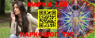 гашик Новодвинск