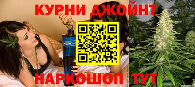 гашик Новодвинск
