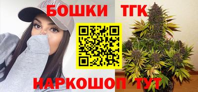 гашик Новодвинск