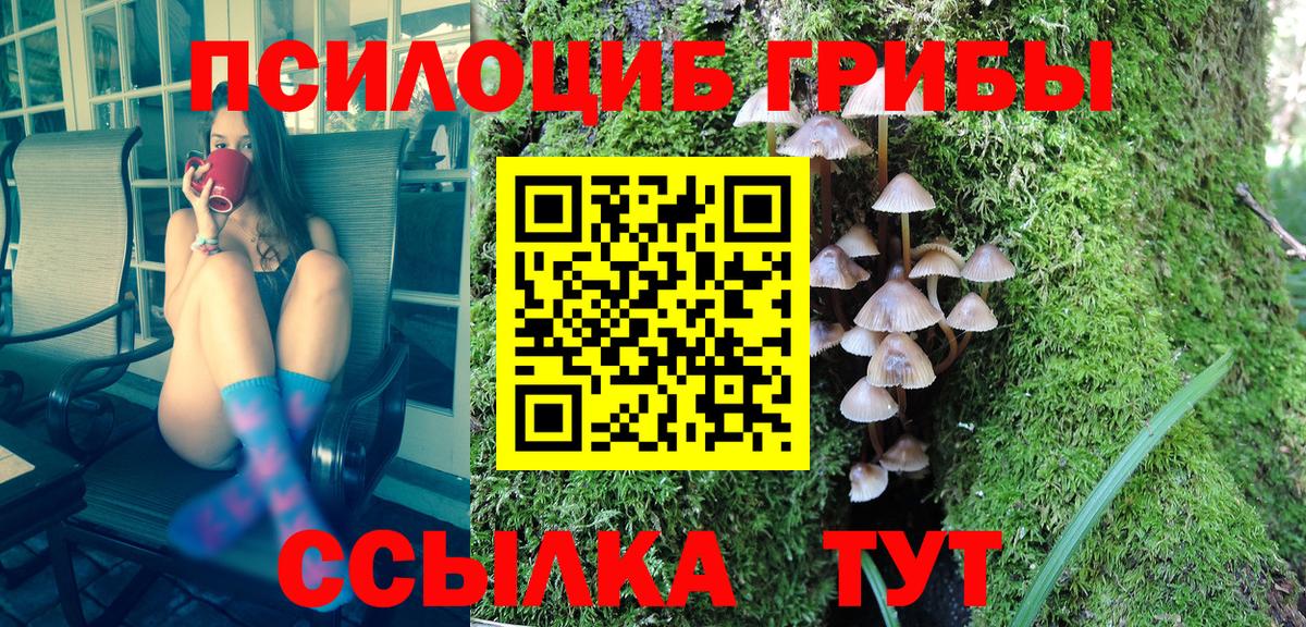 Псилоцибиновые грибы прущие грибы  Вход с VPN  Ставрополь  Псилоцибиновые грибы Psilocybine cubensis 